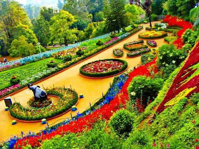Colorful flower beds at Zakir Hussain Rose Garden in Chandigarh